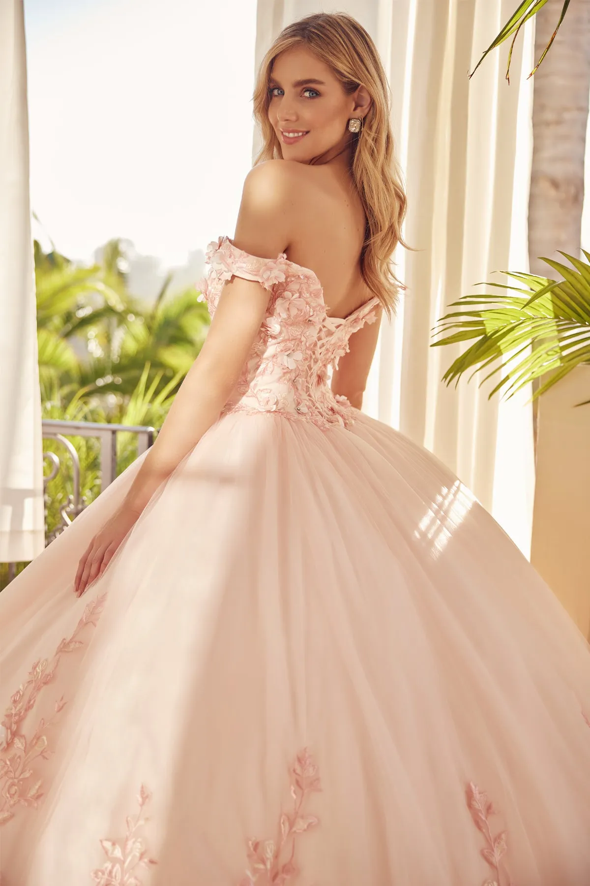 3D Floral Off Shoulder Ball Gown by Juliet 1434