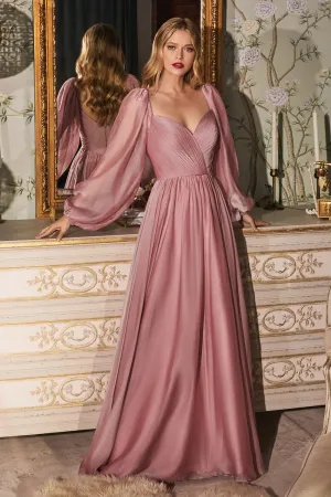 CINDERELLA DIVINE CD243 A-Line Long Sleeve Chiffon Gown