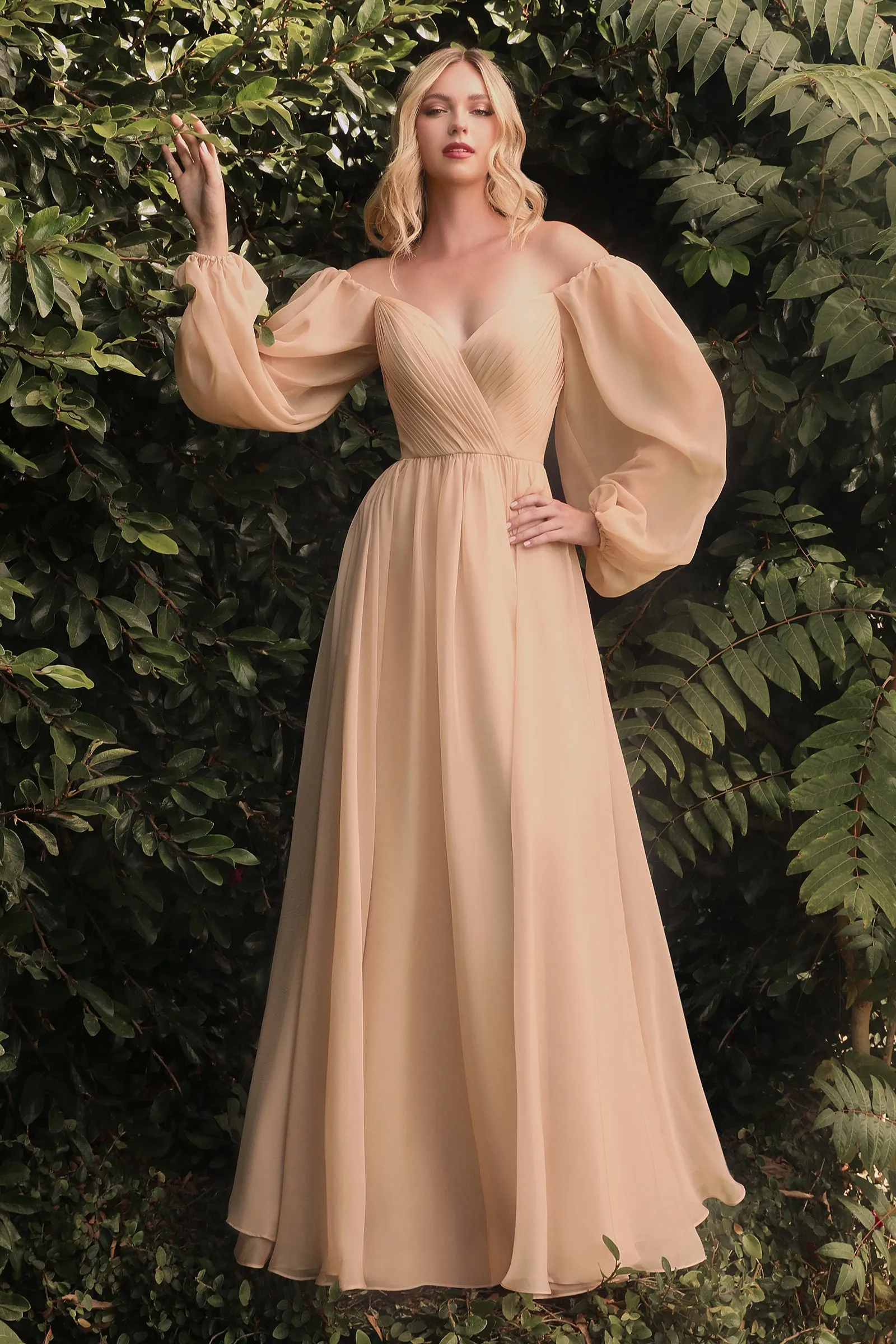 CINDERELLA DIVINE CD243 A-Line Long Sleeve Chiffon Gown